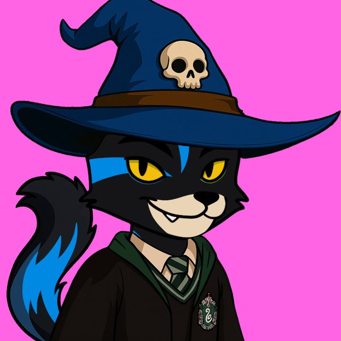 A cartoon black cat character with yellow eyes and a bushy tail wears a blue wizard hat with a skull emblem and a Slytherin robe and tie against a bright pink background.