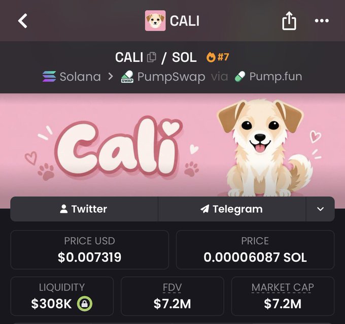 A screenshot of a Solana-based meme coin called CALI, showing its dog mascot, traded on PumpSwap via Pump.fun, with a price of $0.007319 USD and a market cap of $7.2M.