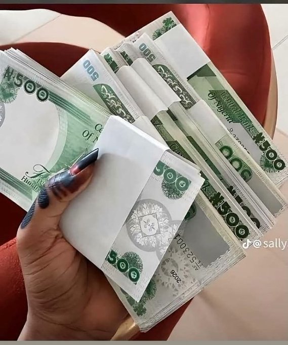 A hand with long manicured nails holds a fan of folded US dollar bills, including a visible $500 bill, with a TikTok watermark '@sally' in the corner.