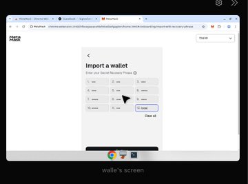 A screenshot of MetaMask's "Import a wallet" screen showing a 12-word Secret Recovery Phrase entry form with a Local option selected, displayed via a screen sharing interface labeled "walle's screen".