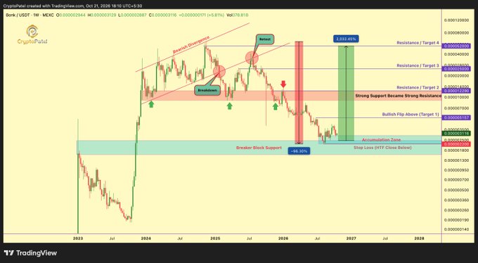 A TradingView chart shows BONK/USDT after a roughly 96.30% correction from its November 2024 all-time high, with technical levels including $0.00000133, $0.00000175, $0.00000182, $0.00000189, $0.00000198, and $0.00000248 marked on the 5-day view.