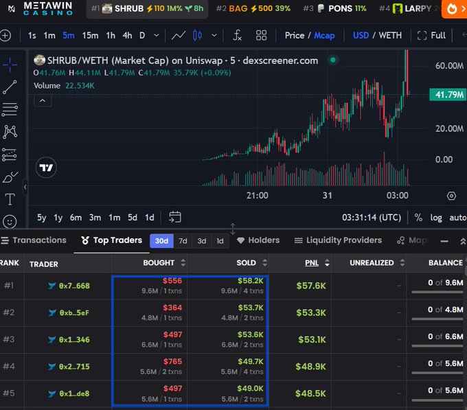 A DexScreener crypto trading chart showing the SHRUB/WETH pair with a 35.79% price increase to $41.79M market cap, alongside a 'Top Traders' leaderboard ranking users #1-5 with PNL ranging from $48.5K to $57.6K.