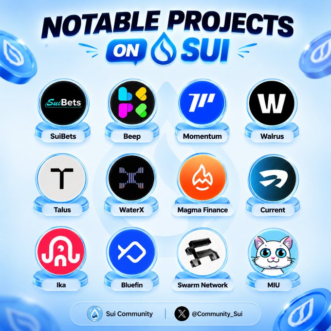 A promotional graphic titled "NOTABLE PROJECTS ON SUI" showcases a 4x3 grid of project logos including SuiBets, Beep, Momentum, Walrus, Talus, WaterX, Magma Finance, Current, Ika, Bluefin, Swarm Network, and MIU, with footer branding for "Sui Community" (@Community_Sui). The image visually supports the post's message by highlighting the diverse ecosystem of established projects being built on the Sui blockchain, reinforcing the claim that the real alpha lies in recognizing Sui's growing infrastructure beyond just chasing short-term token gains.