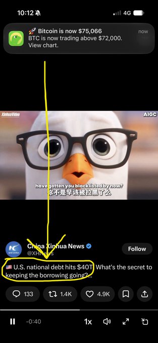 A phone screenshot showing a notification that 'Bitcoin is now $75,066' with BTC trading above $72,000, above a video of a pigeon with glasses captioned 'have gotten you blacklisted by now?' and a tweet from China Xinhua News about U.S. national debt hitting $40T.