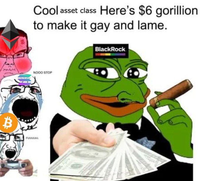 The image features a cartoon frog holding up stacks of money, with text that reads "Cool asset class here's $6 gorilla to make it gay and lame." The frog appears to be in a state of distress or confusion due to the financial situation depicted by the text.