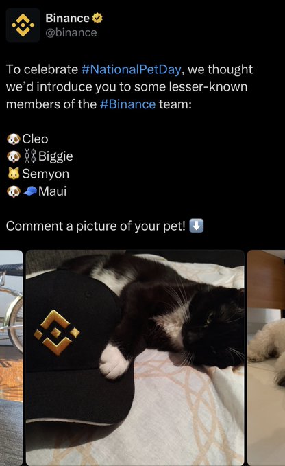 A tweet from @binance celebrating #NationalPetDay introduces the "lesser-known members" of the Binance team: pets Cleo, Biggie, Semyon, and Maui, featuring a black and white cat wearing a black Binance cap labeled "Semyon."