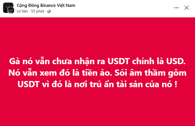 A red graphic with Vietnamese text from "Cộng đồng Binance Việt Nam" by Lê Văn stating that USDT is essentially USD, criticizing those who consider it virtual money while secretly hoarding it.