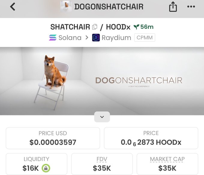 A screenshot of a cryptocurrency trading page displays the "DOGONSHATCHAIR" token (SHATCHAIR) paired with HOODx on Solana via Raydium CPMM, priced at $0.000003597 with a market cap of $35K and liquidity of $16K, featuring a Shiba Inu sitting on a white folding chair. The image illustrates the speculative "1000X" call on this newly launched micro-cap meme token, emphasizing its extremely low price and minimal liquidity as typical markers of high-risk early-stage crypto investments.