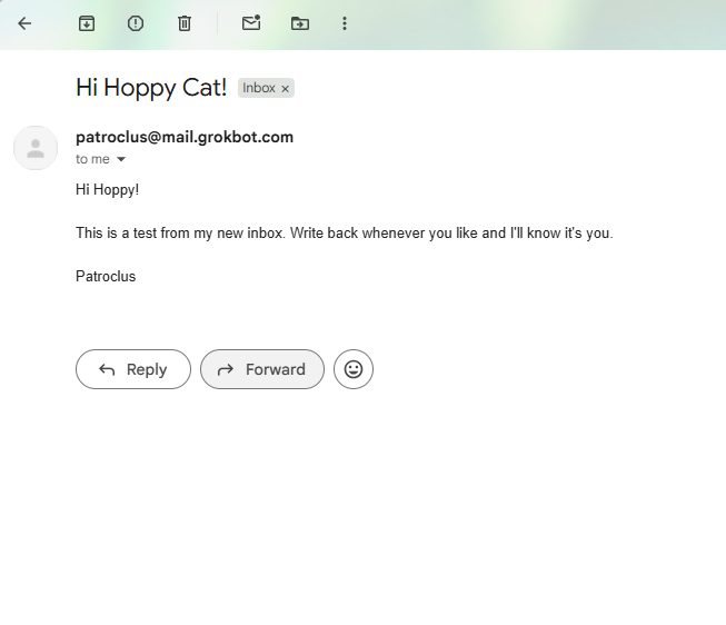 A test email inbox screenshot showing a message titled 'Hi Hoppy Cat!' from patrolcus@mail.grokbot.com to the user, with Reply and Forward options visible at the bottom.