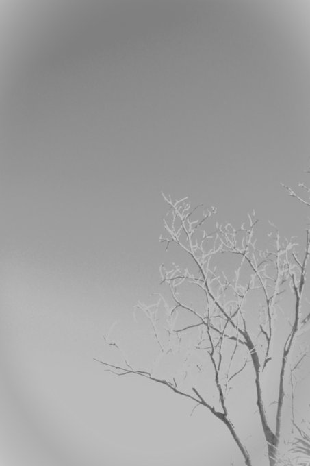 The image shows a stark, minimalist monochrome composition featuring bare, delicate tree branches stretching into an empty sky, with a soft vignette effect darkening the frame's edges. This directly embodies the post's "monochrome experiment," translating the Dry branches concept into a high-contrast black-and-white visual study of wintery emptiness.