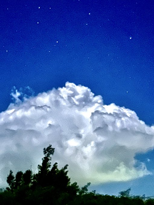 A nighttime photograph featuring a large, billowing white cumulus cloud illuminated against a deep blue sky filled with stars, with the dark silhouette of a treetop visible at the bottom.