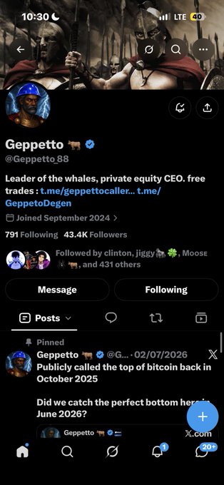 A screenshot of an X (Twitter) profile for 'Geppetto' (@Geppetto_88), described as 'Leader of the whales, private equity, CEO. free traders', with a pinned post dated 02/07/2026 asking 'Did we catch the perfect bottom here June 2026?'