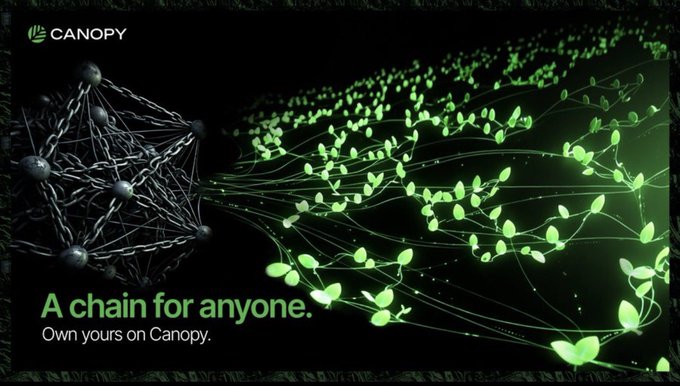 A promotional banner for 'CANOPY' blockchain featuring the tagline 'A chain for anyone. Own yours on Canopy.' with a visual of green sprouts growing from a network structure.