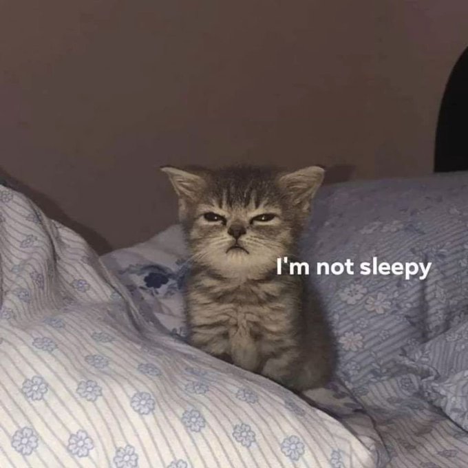 A grumpy-looking kitten with narrowed eyes sits on a bed with floral-patterned bedding, captioned with the text "I'm not sleepy."

The image humorously matches the post's playful tone—the kitten's defiant expression and the "I'm not sleepy" caption capture the same sense of impatient, pouting energy conveyed by the "Wen wen wen" (asking when) meme, suggesting someone waiting and repeatedly asking for something.