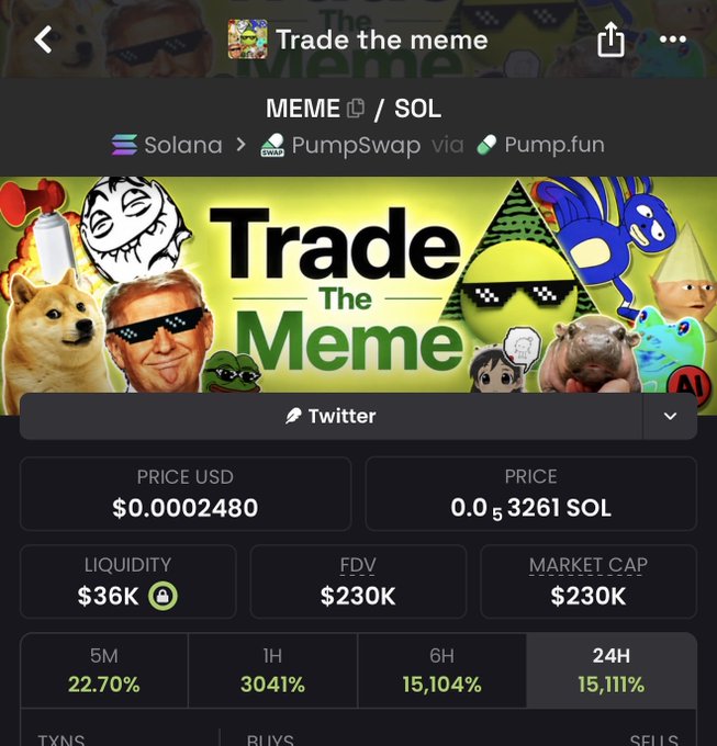 A cryptocurrency tracking page displays the MEME/SOL token "Trade the Meme" on PumpSwap via Pump.fun, showing a price of $0.0002480, liquidity of $36K, and market cap of $230K, with dramatic 24-hour gains of 15,111%. The page directly visualizes the "$meme" coin referenced in the post, confirming it as a high-volatility meme token on the Solana blockchain.