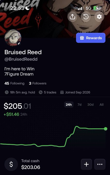 A mobile trading app profile screenshot for 'Bruised Reed' (@BruisedReedd), showing 45 Following, 3 Followers, a portfolio value of $205.01 (up $51.46 in 24h), and total cash of $203.06.
