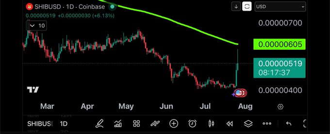 A TradingView chart shows SHIB/USD on Coinbase pumping up 6.13% in late July with a dramatic green candle breaking out near $0.00000519 from the $0.000004 support level, supporting the post's claim of a price surge.