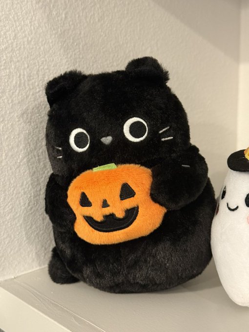 A black cat plush toy holding a jack-o'-lantern sits on a white shelf next to a partially visible white ghost plush.