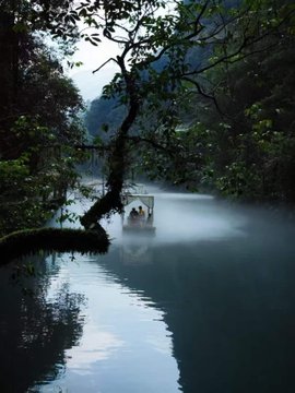 A serene, misty photograph of a calm lake surrounded by dense trees and a leaning tree branch in the foreground, with mountains visible in the background.