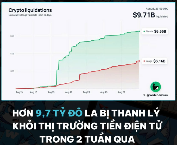 A crypto liquidation chart from @WatcherGuru showing $9.71B liquidated cumulatively over 14 days (Aug 15-28), with shorts at $6.55B and longs at $3.16B, accompanied by Vietnamese text translating to 'Over 9.7 billion USD liquidated from the crypto market in the past 2 weeks'.