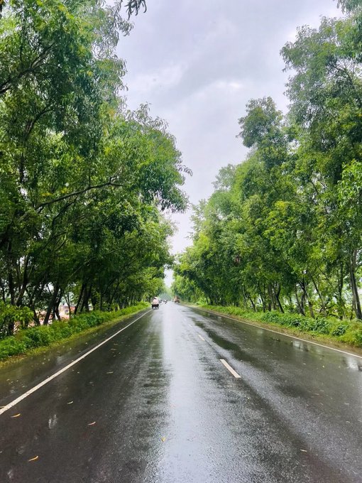 A wet, tree-lined road stretches into the distance under a cloudy sky, with a small figure and vehicle visible far ahead.