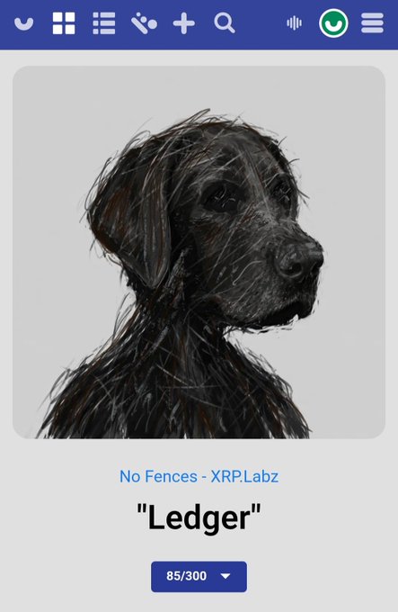A music streaming app screen displaying a sketch of a black dog's face, titled 'Ledger' by No Fences - XRP.Labz, showing track progress at 85/300.