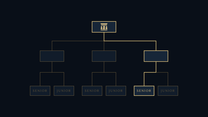 Dark organizational chart or hierarchy diagram with gold-colored lines showing a structure with a top icon, three middle boxes, and bottom labels reading 'SENIOR' and 'JUNIOR'.