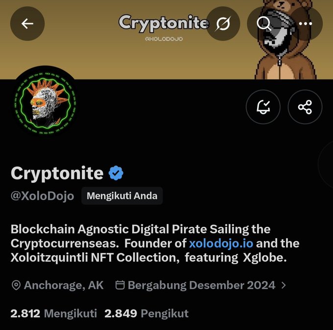 A Twitter/X profile for 'Cryptonite' (@XoloDojo) describes itself as a 'Blockchain Agnostic Digital Pirate Sailing the Cryptocurrenseas' and founder of xolodojo.io and the Xoloitzquintli NFT Collection, based in Anchorage, AK.