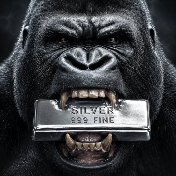 A close-up image of a menacing gorilla baring its teeth while holding a silver bar engraved with 'SILVER 999 FINE' between its jaws.