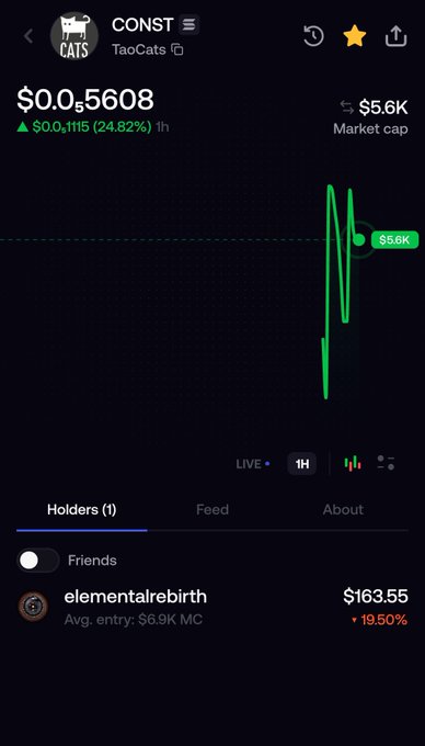 The image displays a crypto tracking interface for the token $CONST (TaoCats), showing a current price of $0.05608 with a 24.82% increase ($0.01115) over the past hour, and a market cap of $5.6K. The 1-hour price chart reveals a highly volatile spike pattern, while the "Holders" section indicates only one holder exists—user "elementalrebirth" with an average entry of $6.9K MC and a notable 19.50% gain valued at $163.55, visually supporting the post's claim about TAO community involvement and the token's early, low-cap stage before any DEX update.