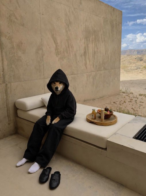 A surreal image of a Shiba Inu dog wearing a black hoodie and white socks, sitting on a beige cushioned bench in a desert setting with breakfast items on a tray beside it.