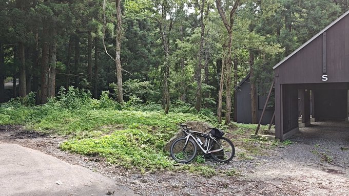 A bicycle leans against a grassy embankment next to a dark building with an 'S' sign in a lush, green forest setting.