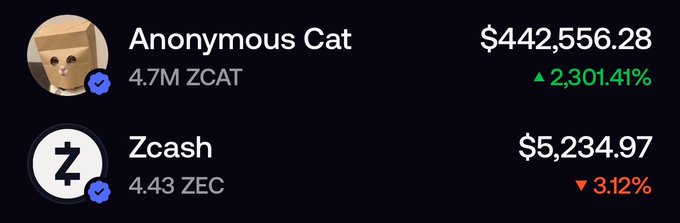 Crypto portfolio widget showing 'Anonymous Cat' with 4.7M ZCAT valued at $442,556.28 (up 2,301.41%) and 'Zcash' with 4.43 ZEC valued at $5,234.97 (down 3.12%), both marked with blue verification checkmarks.