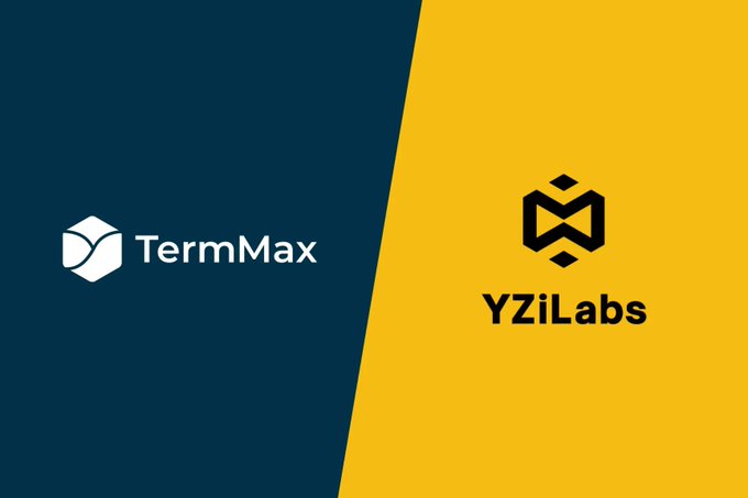A split promotional graphic with logos for TermMax on a dark blue background and YZiLabs on a yellow background.