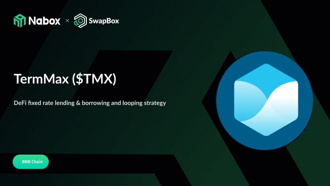 A promotional graphic for TermMax ($TMX), a DeFi fixed rate lending, borrowing, and looping strategy on BNB Chain, featuring the Nabox and SwapBox logos alongside a blue cube icon.