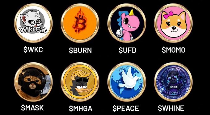 Eight cryptocurrency token logos are displayed in circular frames against a black background, labeled "$WKC", "$BURN", "$UFD", "$MOMO", "$MASK", "$MHGA", "$PEACE", and "$WHINE".