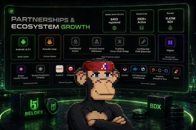 A promotional graphic titled 'PARTNERSHIPS & ECOSYSTEM GROWTH' featuring a pixel-art monkey in a red bandana, with statistics like '6403 Beldex Name Service registered', '2935+ Masternode Active', and '11.47M BDX Burned', alongside various technology and community updates.