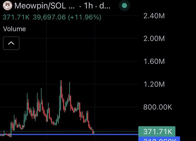 A 1-hour candlestick chart for the Meowpin/SOL token shows a sharp rally peaking around 1.2M volume before crashing back down to the current price of 371.71K (-39,697.06 / +11.96%), illustrating the volatile pump-and-dump pattern the poster is bottom-bidding into.