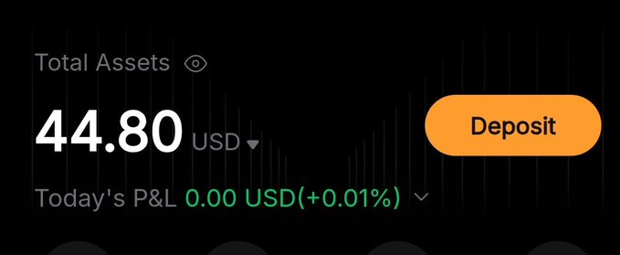 A crypto wallet dashboard showing Total Assets of 44.80 USD with a Deposit button and Today's P&L of 0.00 USD (+0.01%).