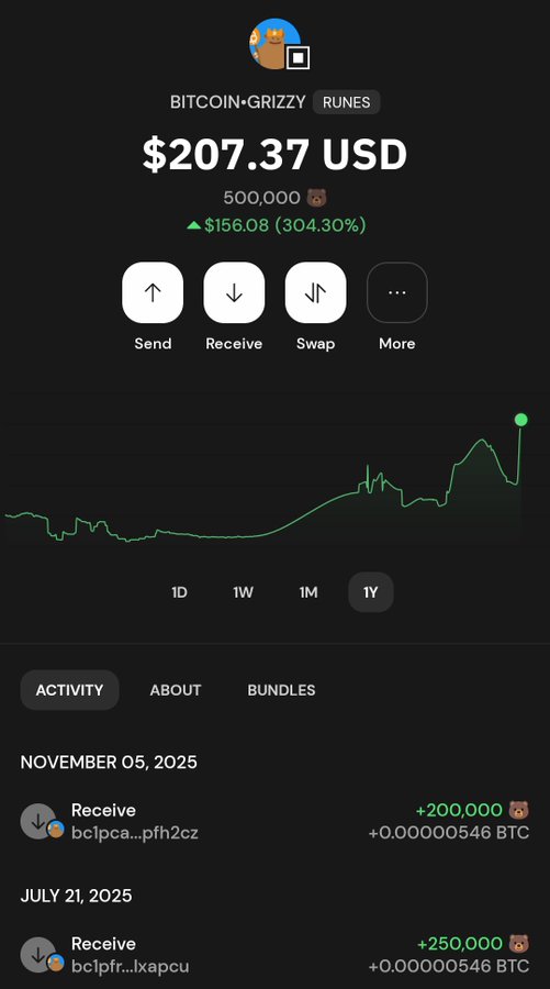 A Bitcoin wallet screenshot showing a balance of $207.37 USD (500,000) with a 304.30% gain and recent receive transactions from November 2025 and July 2025.