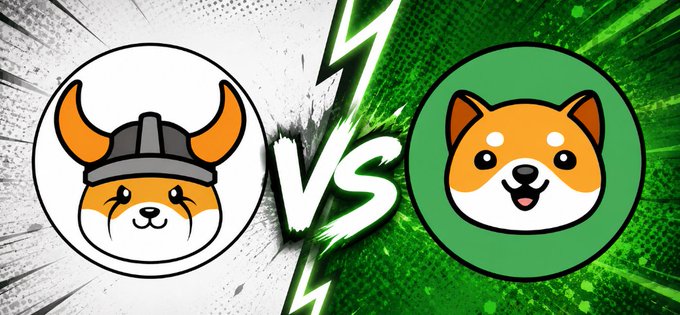 Two cartoon dog mascots face off in a "VS" showdown — Floki, depicted as a Shiba Inu wearing a Viking helmet with orange horns, and Baby Doge, shown as a smiling Shiba puppy — representing a head-to-head comparison between the $FLOKI and $BABYDOGE memecoins.