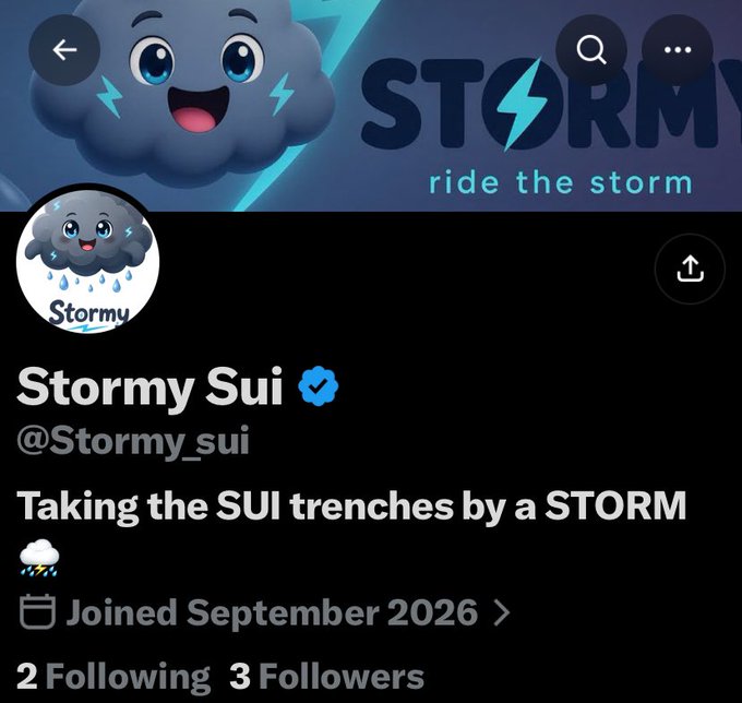 A Twitter/X profile page for 'Stormy Sui' (@Stormy_sui), featuring a cloud mascot with lightning bolts and a verified checkmark, with the bio 'Taking the SUI trenches by a STORM' and 'Joined September 2026'.
