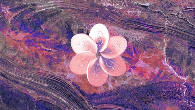 A digitally rendered flower shape made of pink and white coins embossed with the "d" symbol for Dogecoin rests on a textured, purple-tinged rocky surface.