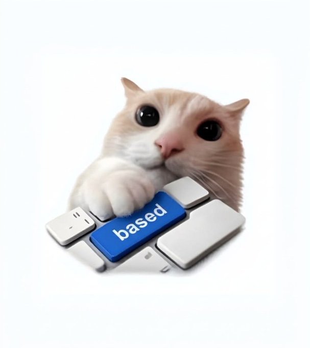 A cream-colored cat presses a blue keyboard key that says "based".