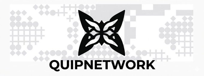 A black and white logo for 'QUIPNETWORK' featuring a stylized butterfly or mask design with circuit-like patterns in the background.
