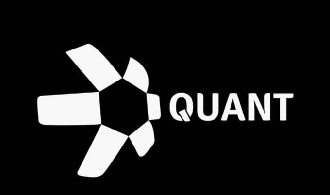 The image displays the Quant (QNT) logo, featuring a white pinwheel-style emblem alongside the ticker "QUANT" on a black background, which represents the blockchain interoperability platform discussed in the post about its staking, routing, and node capacity features within the Fusion network.