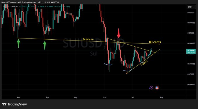 A TradingView candlestick chart of SUI/USD cryptocurrency showing a descending triangle pattern with a 'Resistance' line, 'Support' trendline, and a red arrow pointing down near the 80-cent level.