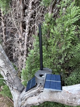 A small outdoor sensor or camera device with two solar panels and a tall antenna is mounted on a tree branch against a backdrop of green foliage.