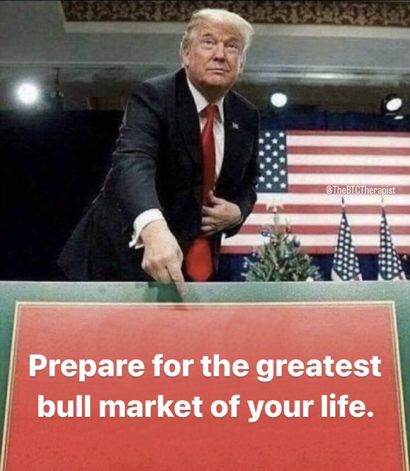 A meme featuring Donald Trump pointing downward with the text 'Prepare for the greatest bull market of your life.' attributed to @TheBTCTherapist.