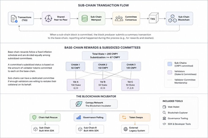 The image is a three-part infographic detailing Canopy Network's (CNPY) blockchain infrastructure. It illustrates the sub-chain transaction flow (transactions moving through shared peer-to-peer networks, sub-chain mempools, and a consensus committee to TXS and the sub-chain blockchain), the base-chain rewards and subsidized committees system (showing how a total stake of 200 CNPY and subsidization of ≥67 CNPY can be distributed across chains, with validators like Val A, B, and C staking across multiple sub-chains), and the Blockchain Incubator with included tools like Web Wallet, Blockchain Explorer, Governance Polling, Token Swaps, and SDK tools.

This directly supports the post by visually demonstrating how Canopy Network enables capital-efficient security through validator restaking across multiple sub-chains, along with its governance tools (like the Halt Rescue and Polling features) that give projects sovereignty without sacrificing security or scalability.
